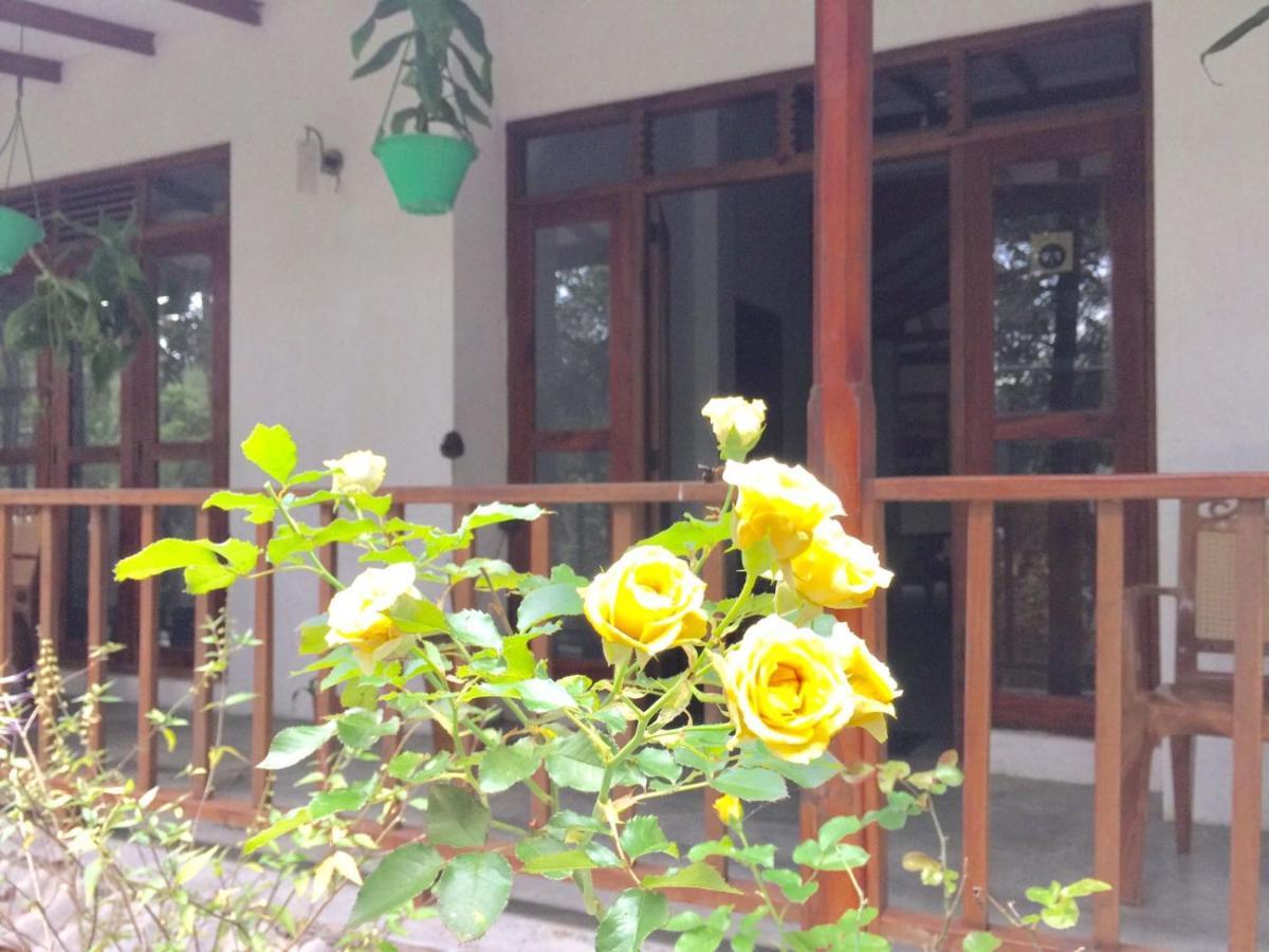 Ella Nature Nest Exterior photo