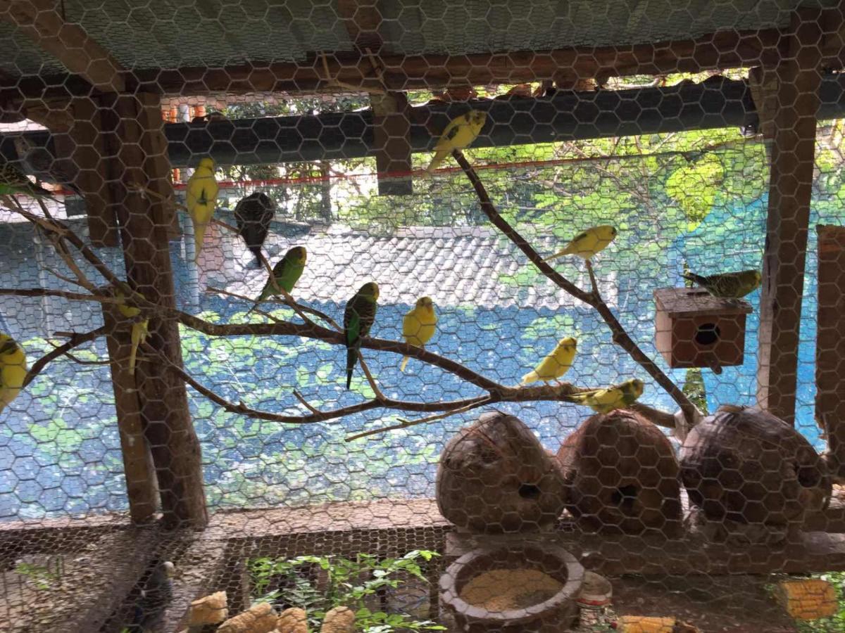 Ella Nature Nest Exterior photo