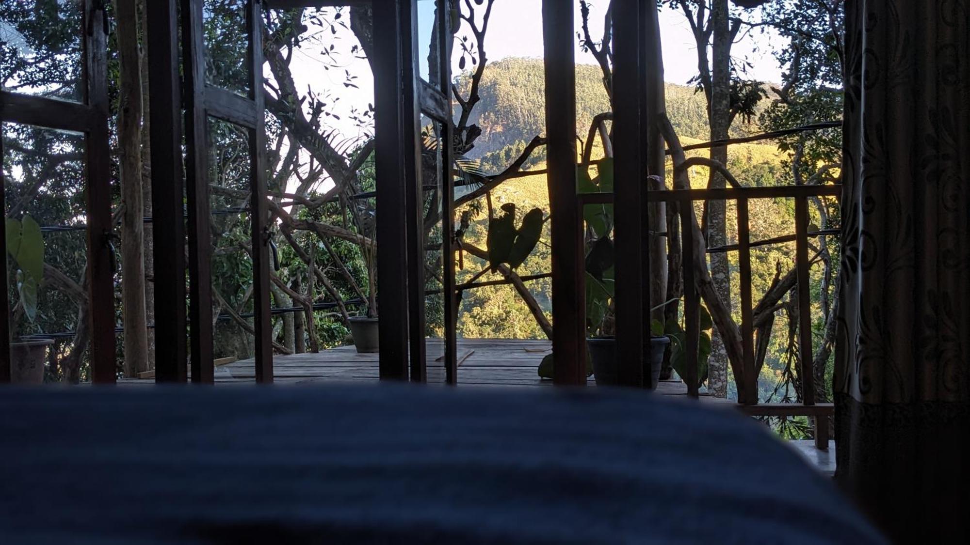 Ella Nature Nest Room photo
